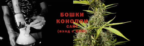 МДПВ Инта