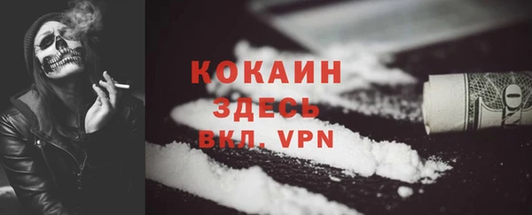 МДПВ Инта