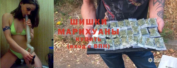 МДПВ Инта