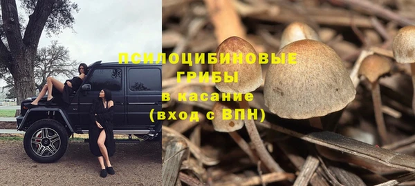 таблы Инсар