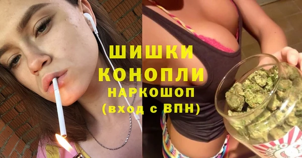 МДПВ Инта