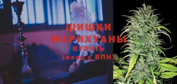 МДПВ Инта