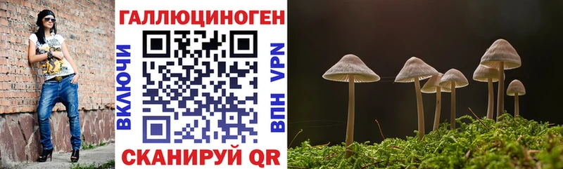 Купить  Ершов  Псилоцибиновые грибы мицелий 